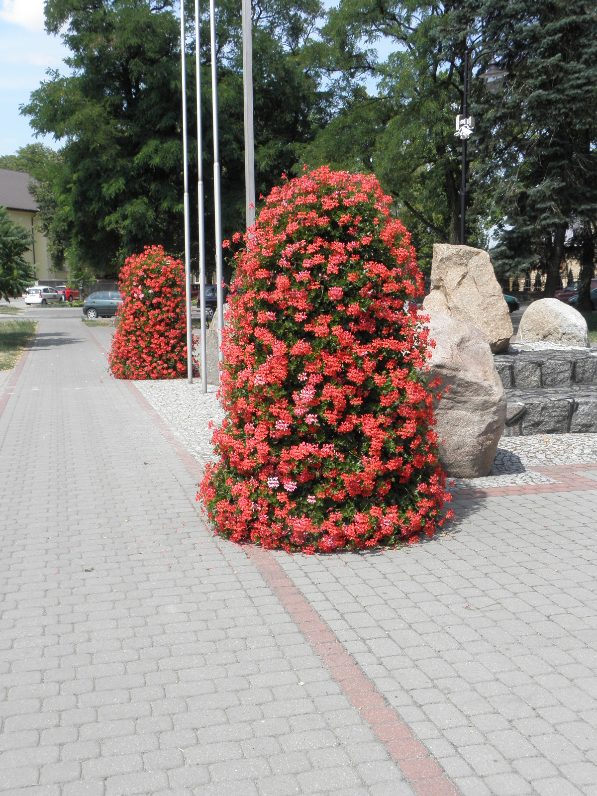 P7211205