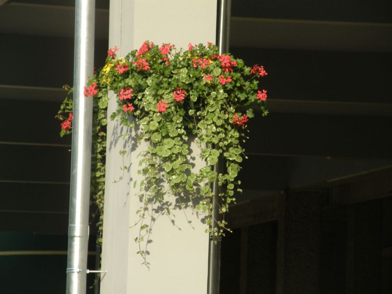 P6110595