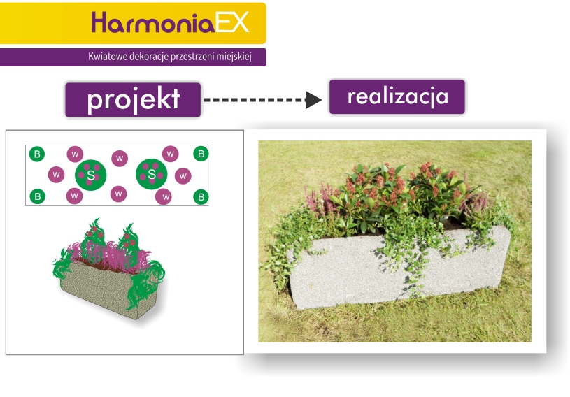 projekty harmoniaex2